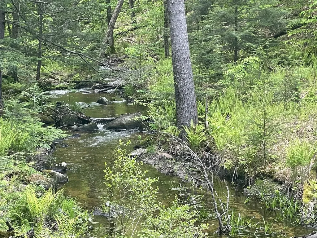 Us Route 3 Holderness NH 03245