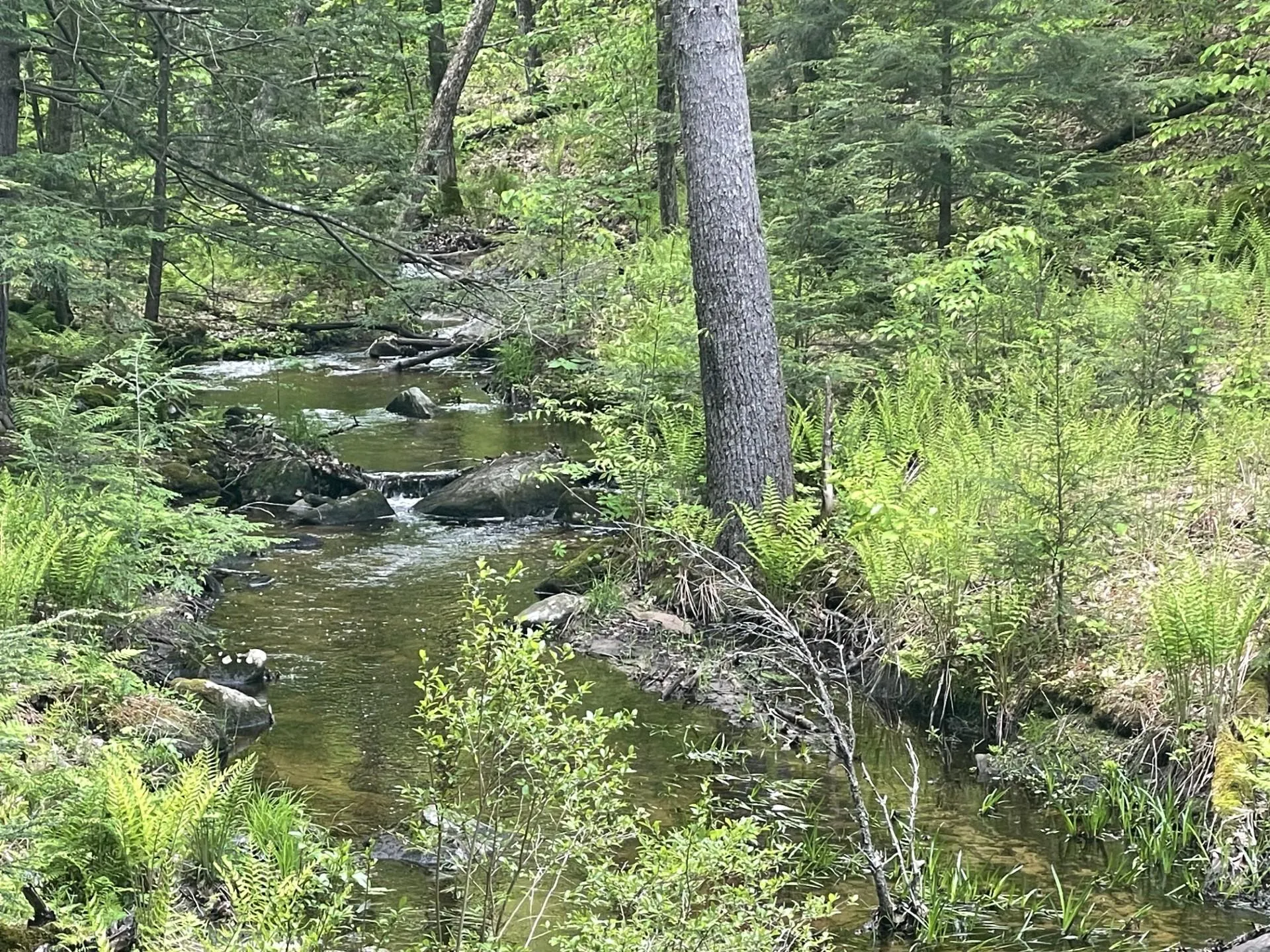 Us Route 3 Holderness NH 03245