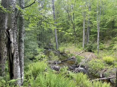 Us Route 3 Holderness NH 03245