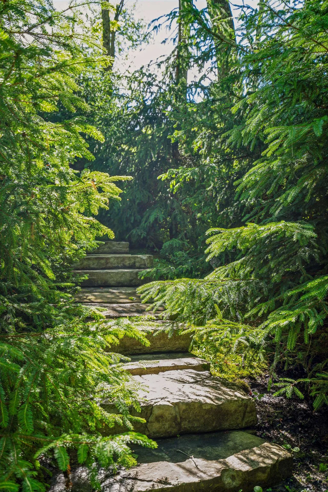 5685 Vt Route 12 Barnard VT 05031