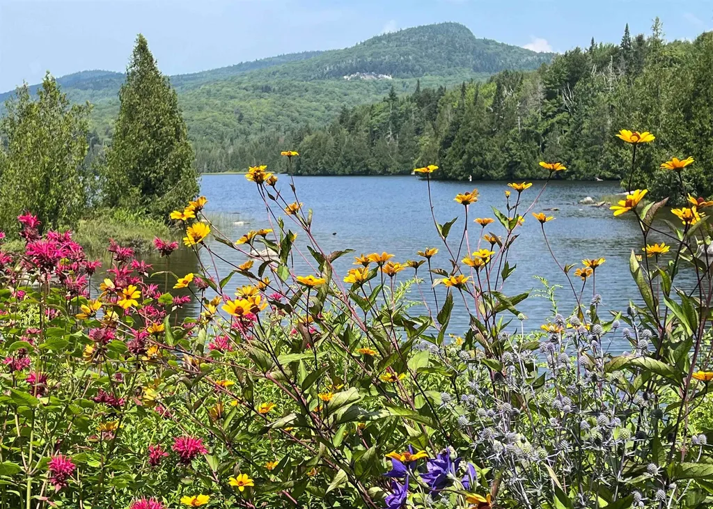 43 Kimberly Lane Westmore VT 05871