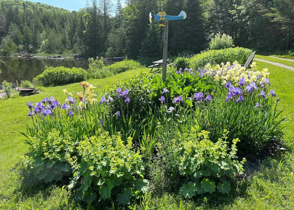 43 Kimberly Lane Westmore VT 05871