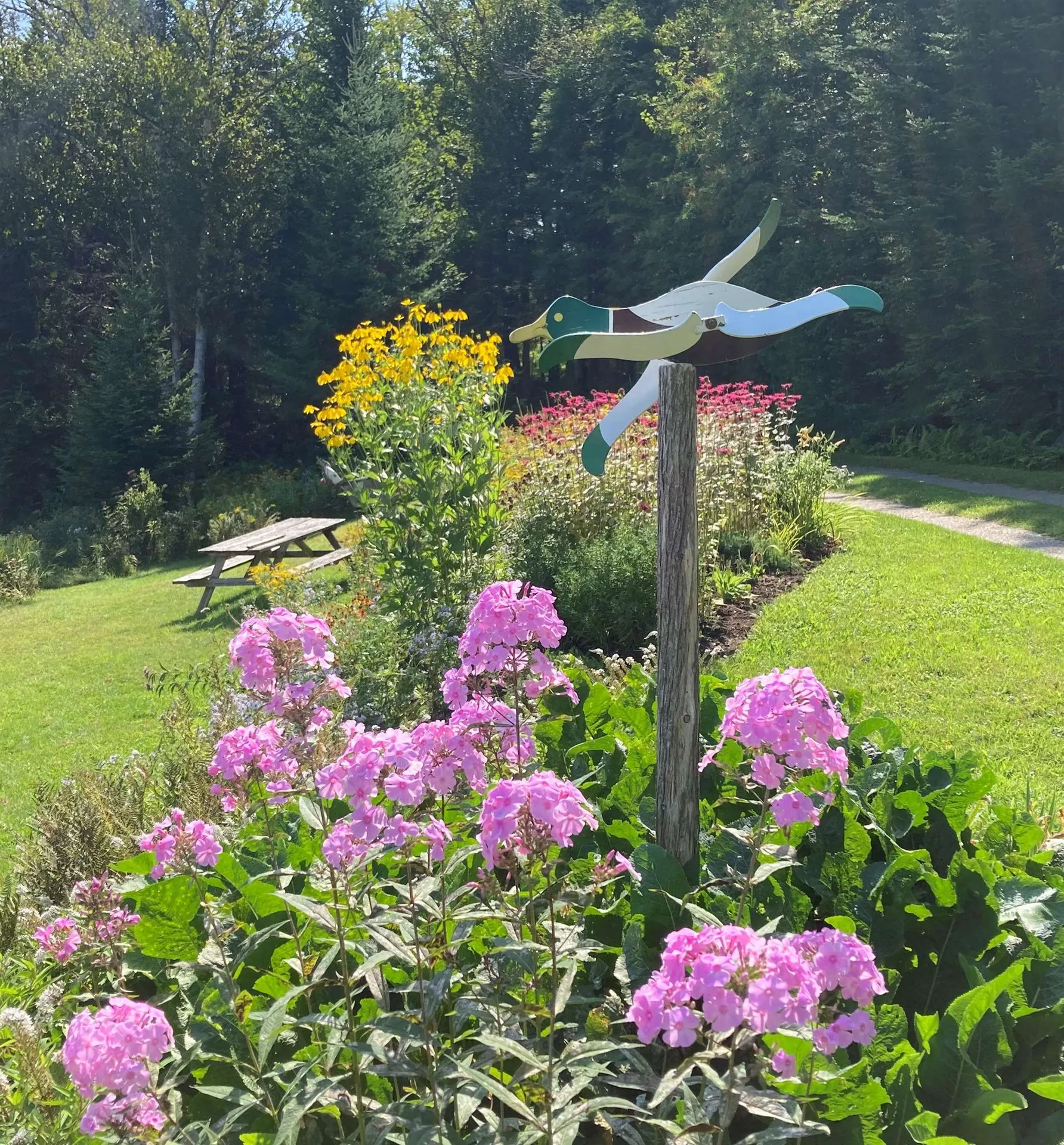 43 Kimberly Lane Westmore VT 05871