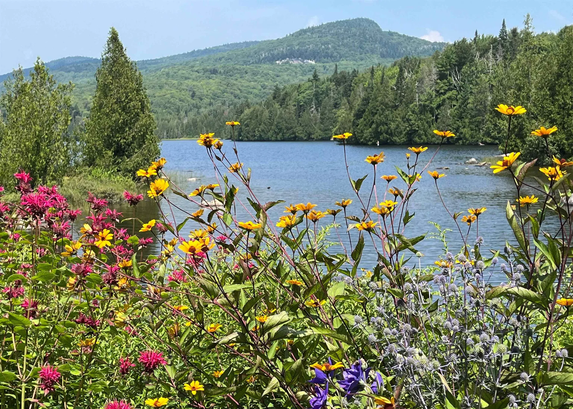 43 Kimberly Lane Westmore VT 05871