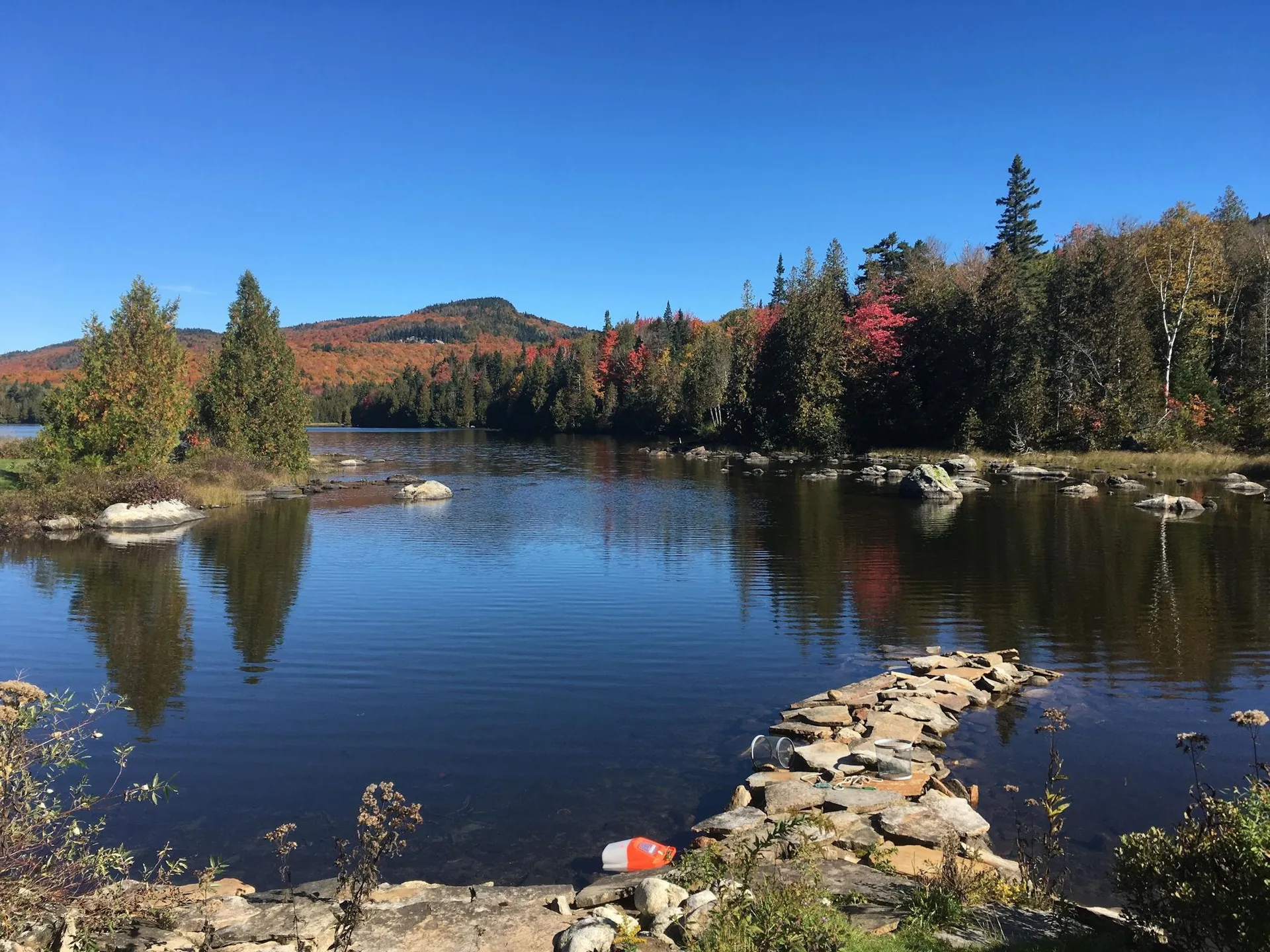 43 Kimberly Lane Westmore VT 05871