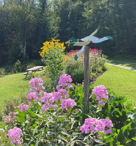 43 Kimberly Lane Westmore VT 05871