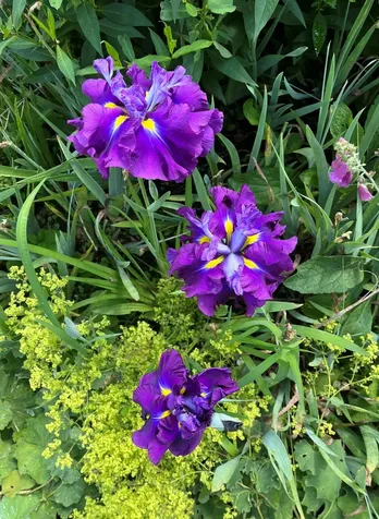 43 Kimberly Lane Westmore VT 05871