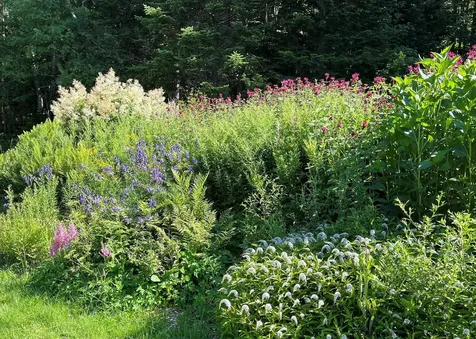 43 Kimberly Lane Westmore VT 05871