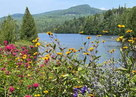 43 Kimberly Lane Westmore VT 05871