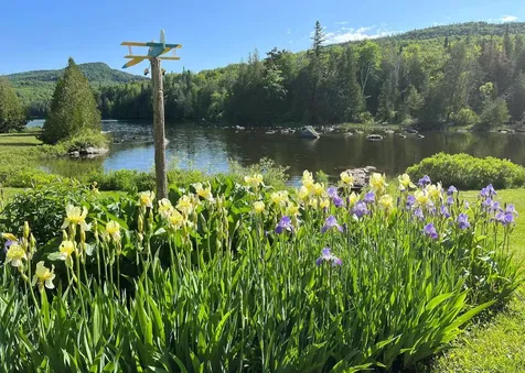 43 Kimberly Lane Westmore VT 05871