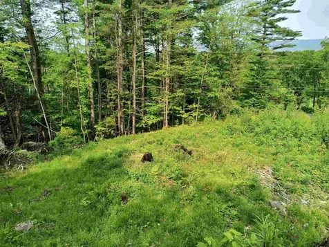 000 East Warren Road Warren VT 05674