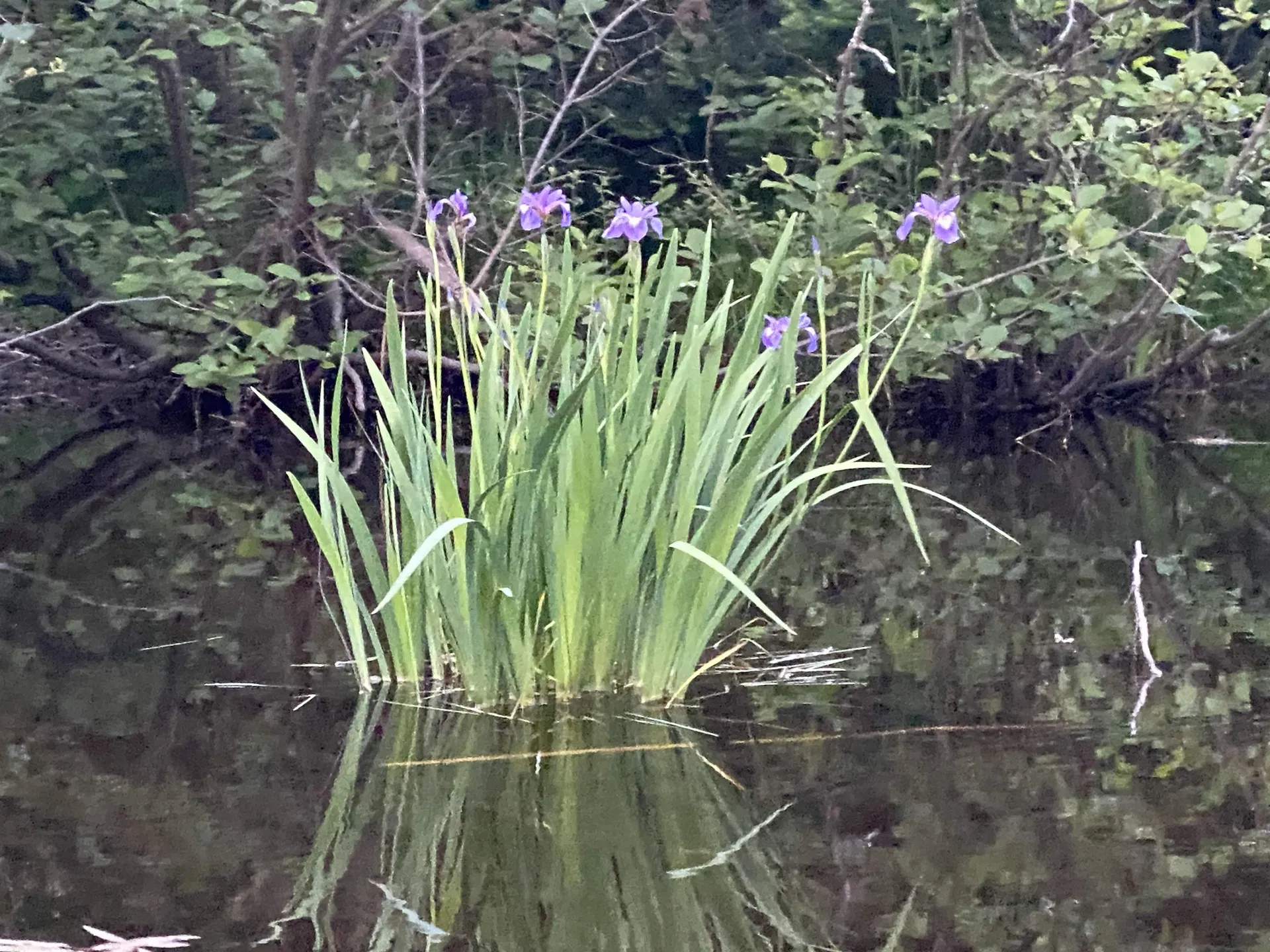 1134 Route 106 Reading VT 05062