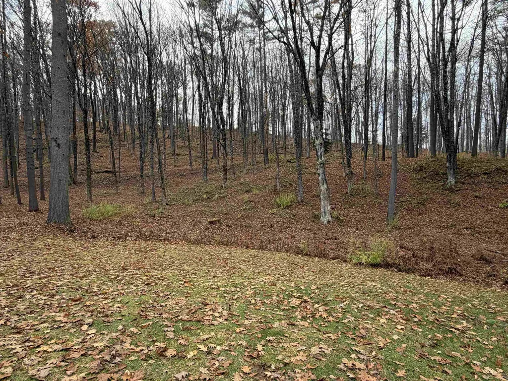 72 Oak Ridge Way Woodstock VT 05091