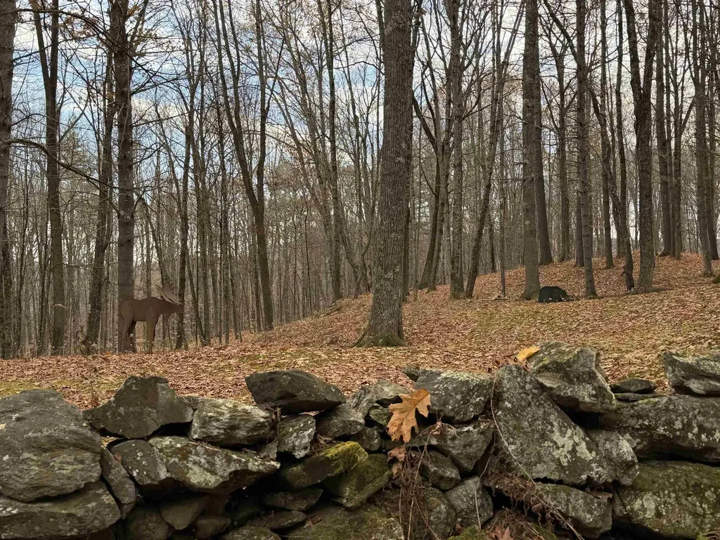 72 Oak Ridge Way Woodstock VT 05091