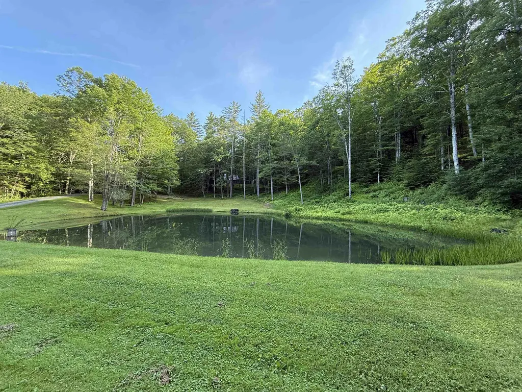 72 Oak Ridge Way Woodstock VT 05091