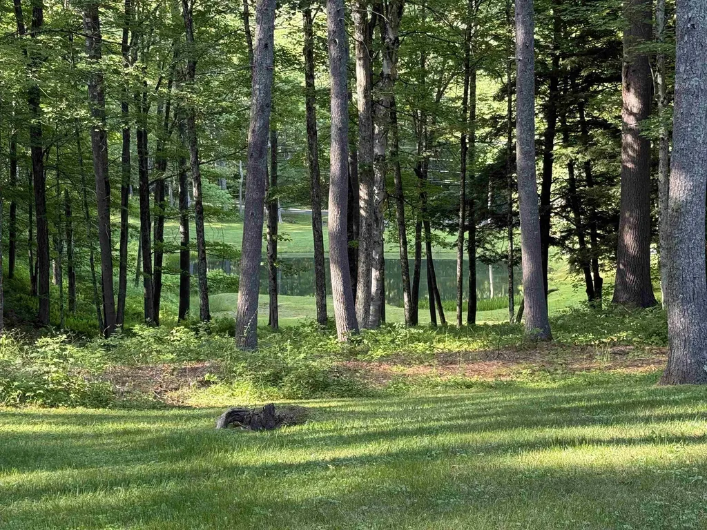 72 Oak Ridge Way Woodstock VT 05091