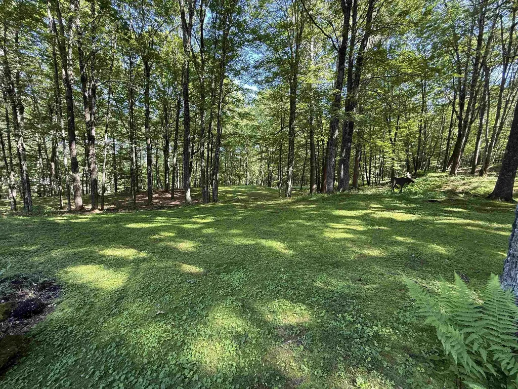 72 Oak Ridge Way Woodstock VT 05091