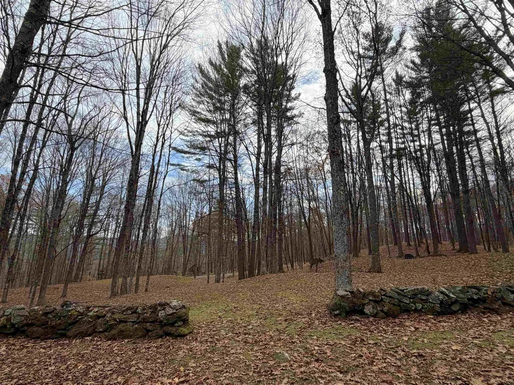 72 Oak Ridge Way Woodstock VT 05091