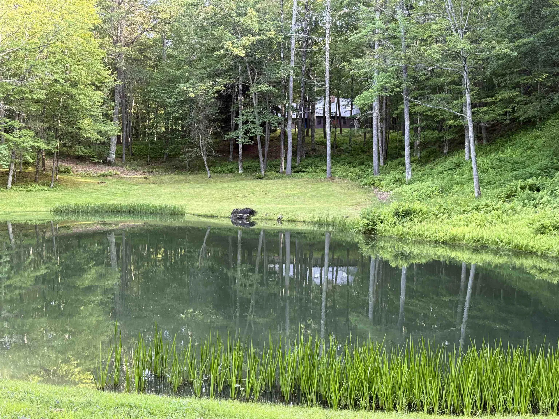 72 Oak Ridge Way Woodstock VT 05091