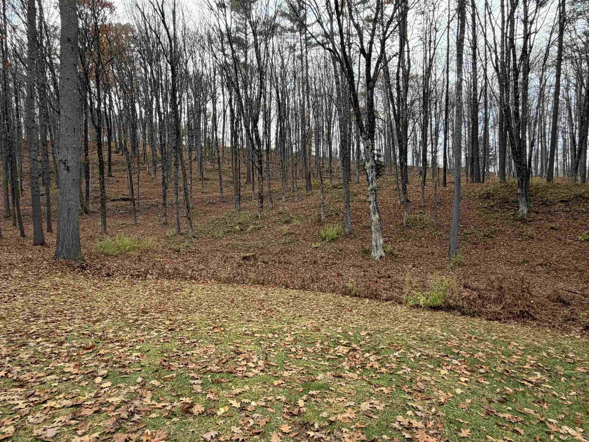 72 Oak Ridge Way Woodstock VT 05091