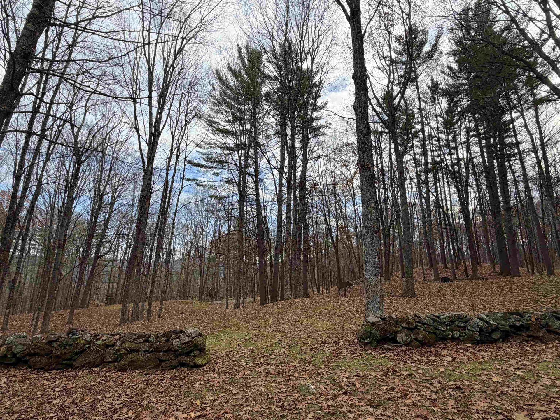 72 Oak Ridge Way Woodstock VT 05091