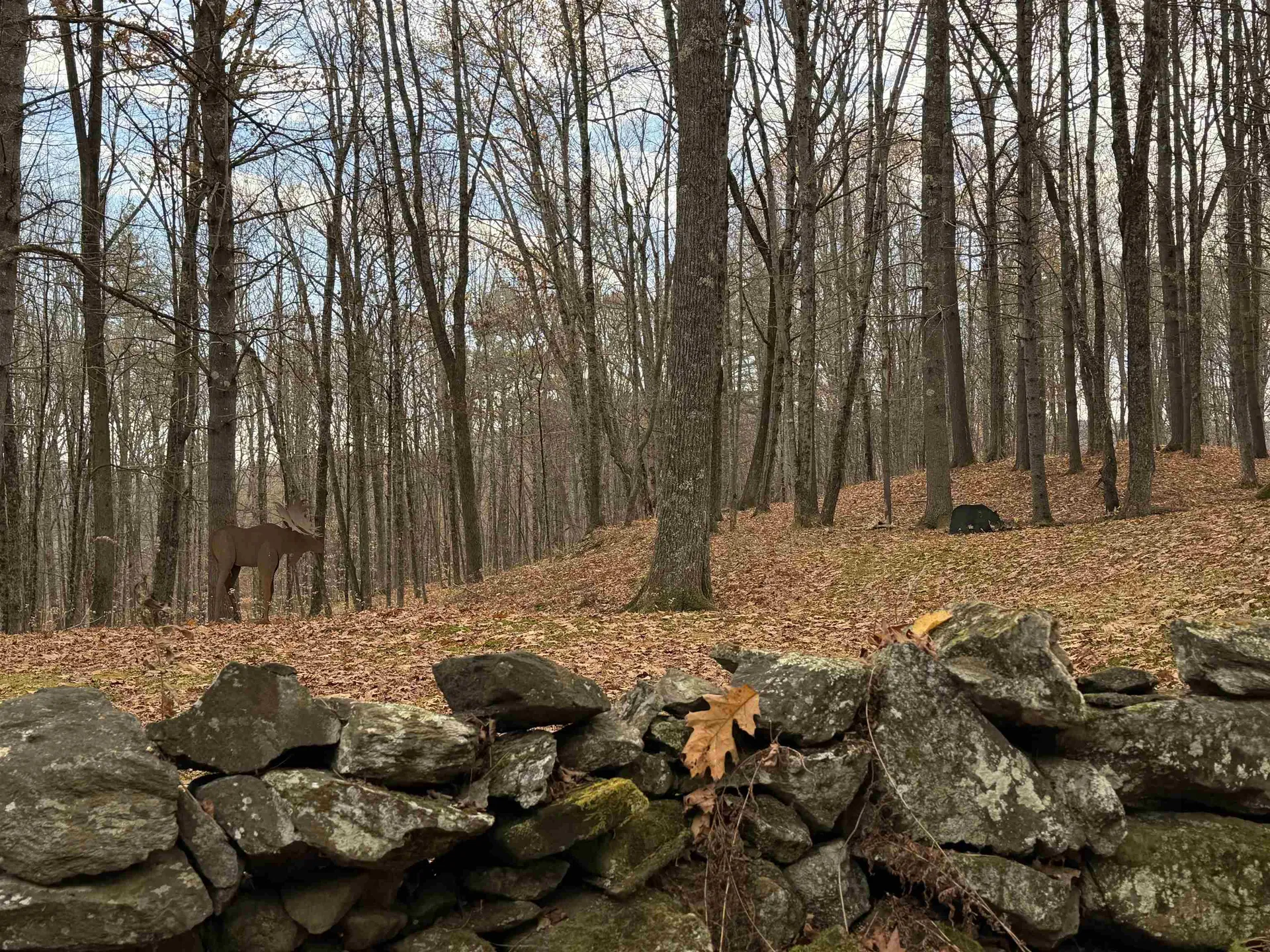 72 Oak Ridge Way Woodstock VT 05091