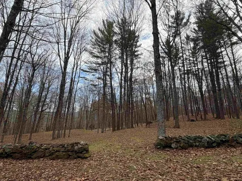 72 Oak Ridge Way Woodstock VT 05091