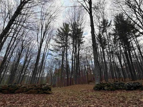 72 Oak Ridge Way Woodstock VT 05091