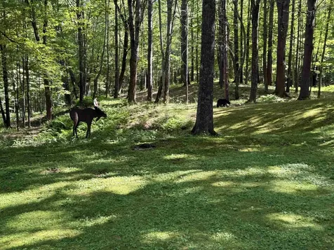 72 Oak Ridge Way Woodstock VT 05091