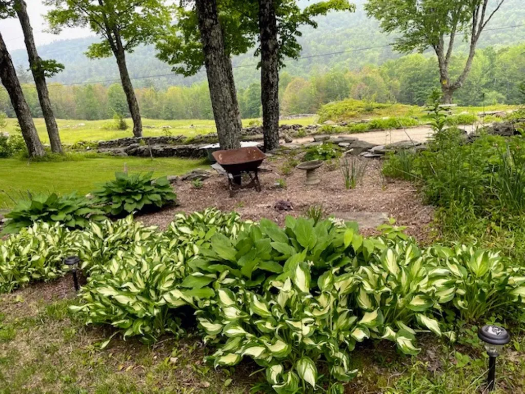 956 Old Cheney Road Windham VT 05359