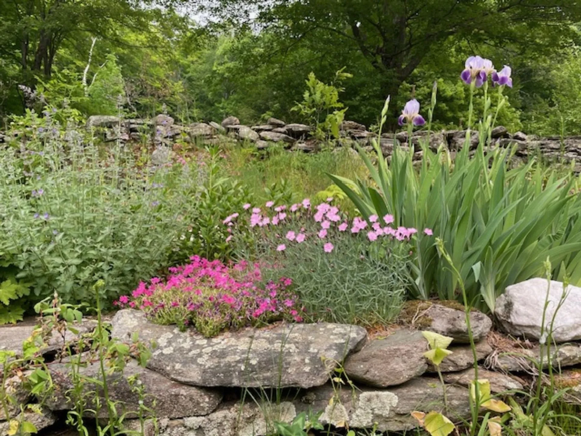 956 Old Cheney Road Windham VT 05359