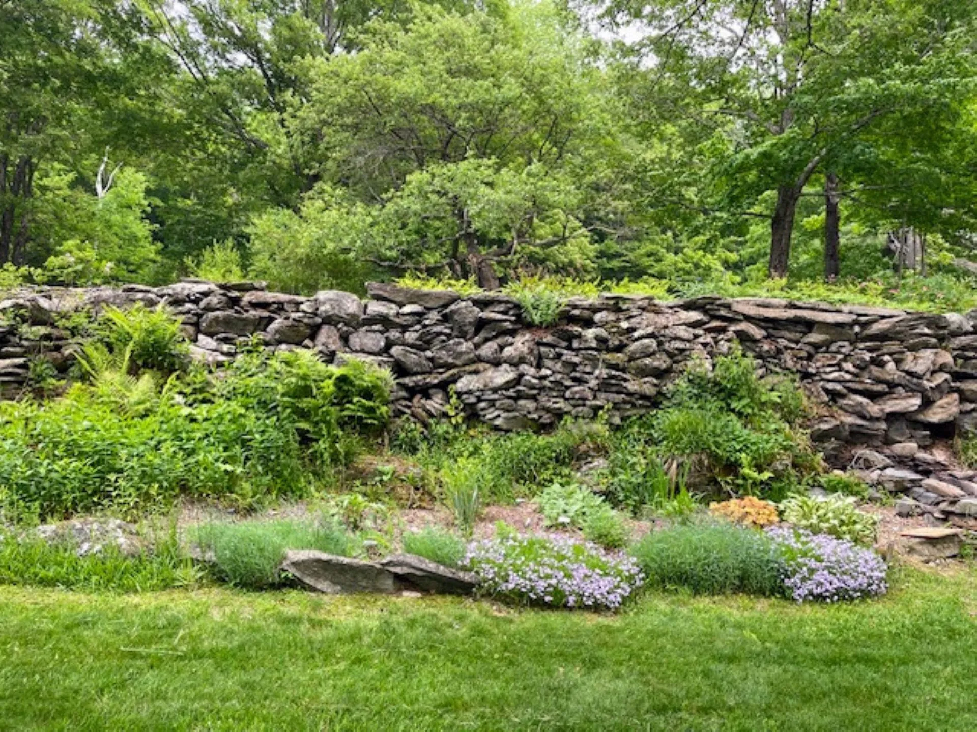 956 Old Cheney Road Windham VT 05359