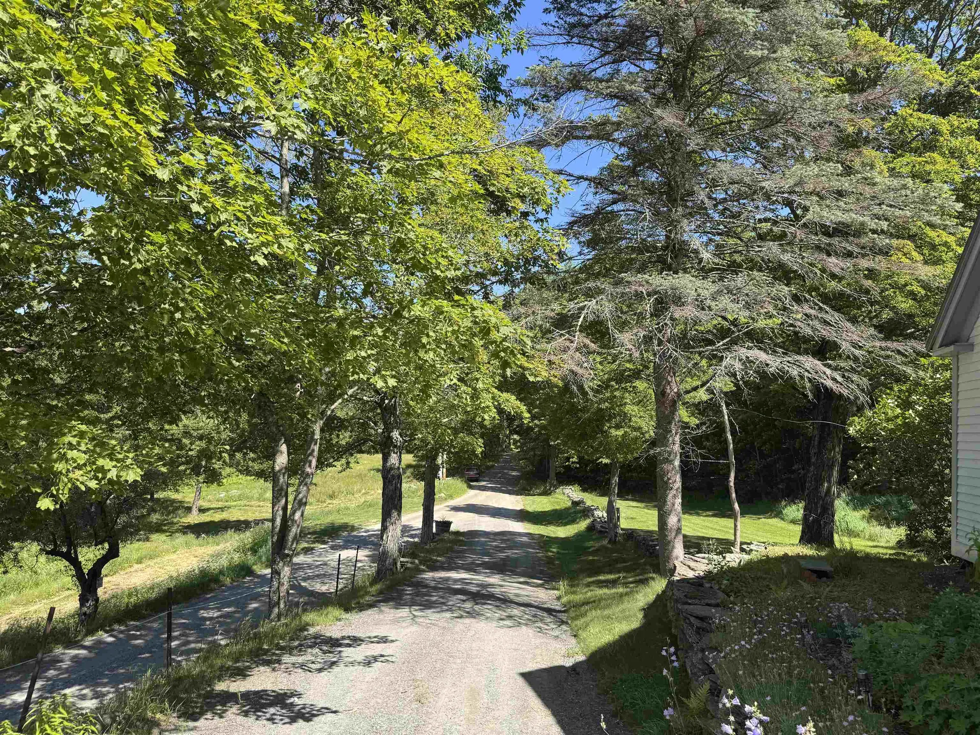 956 Old Cheney Road Windham VT 05359