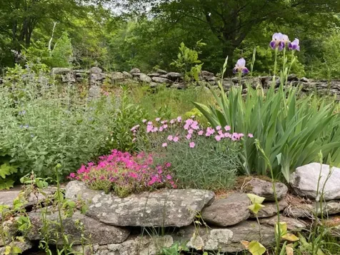 956 Old Cheney Road Windham VT 05359