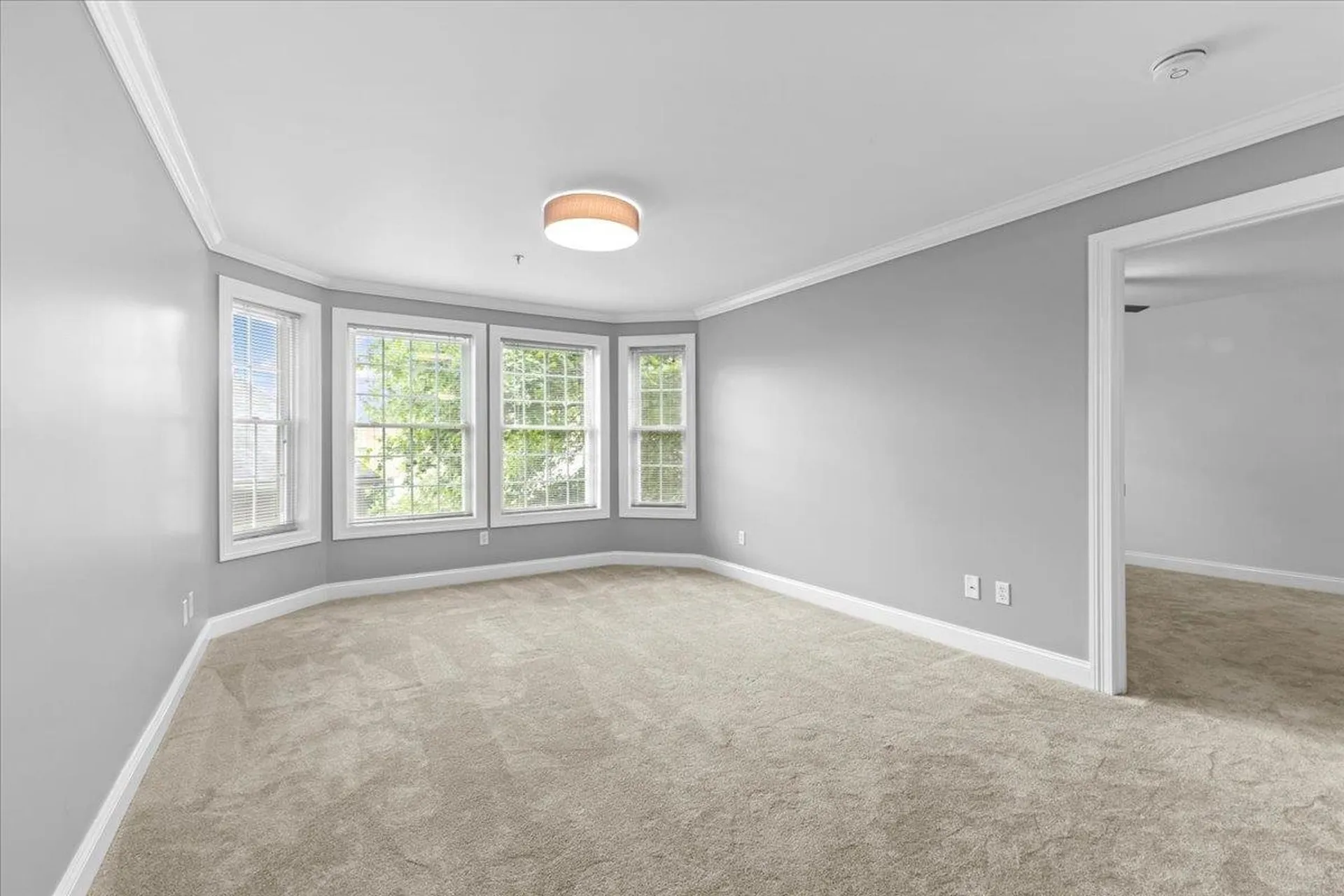 81 South Williams Street Burlington VT 05401