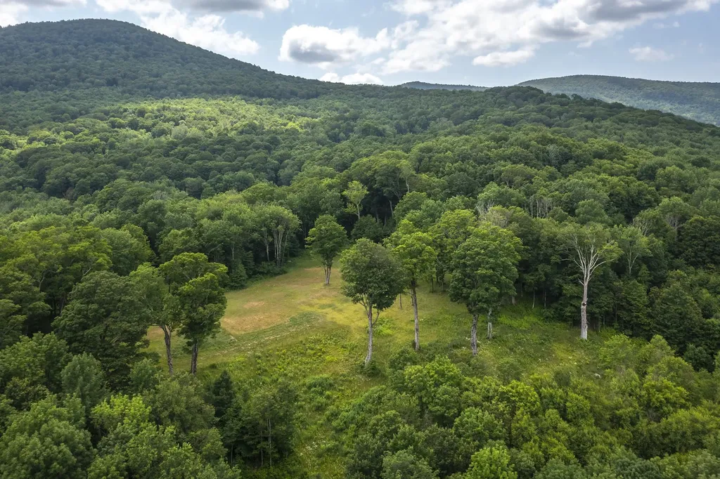 500 Nims Road Dorset VT 05251