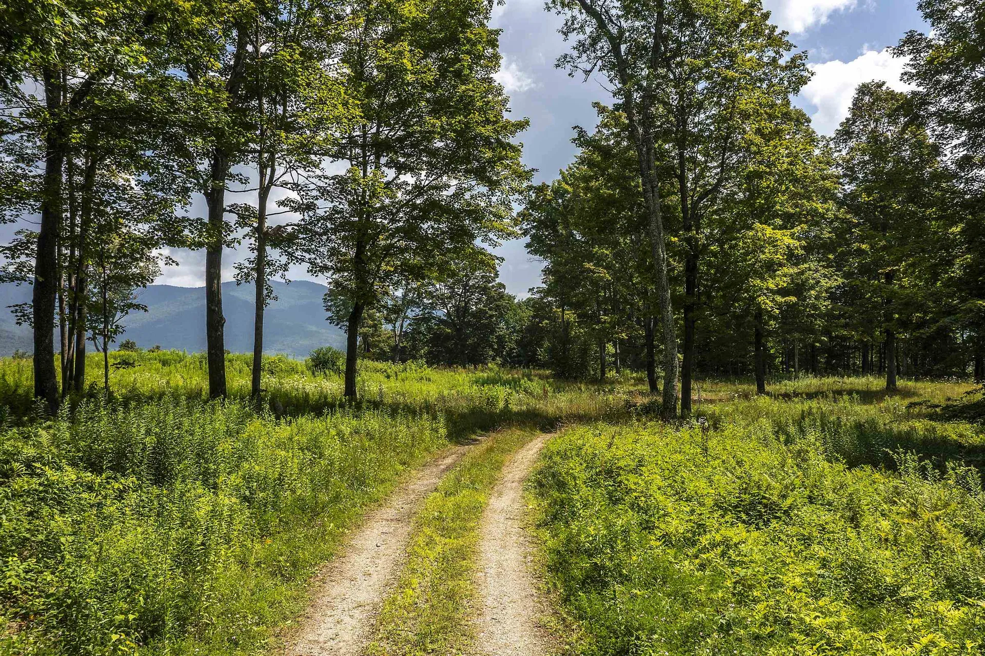 500 Nims Road Dorset VT 05251