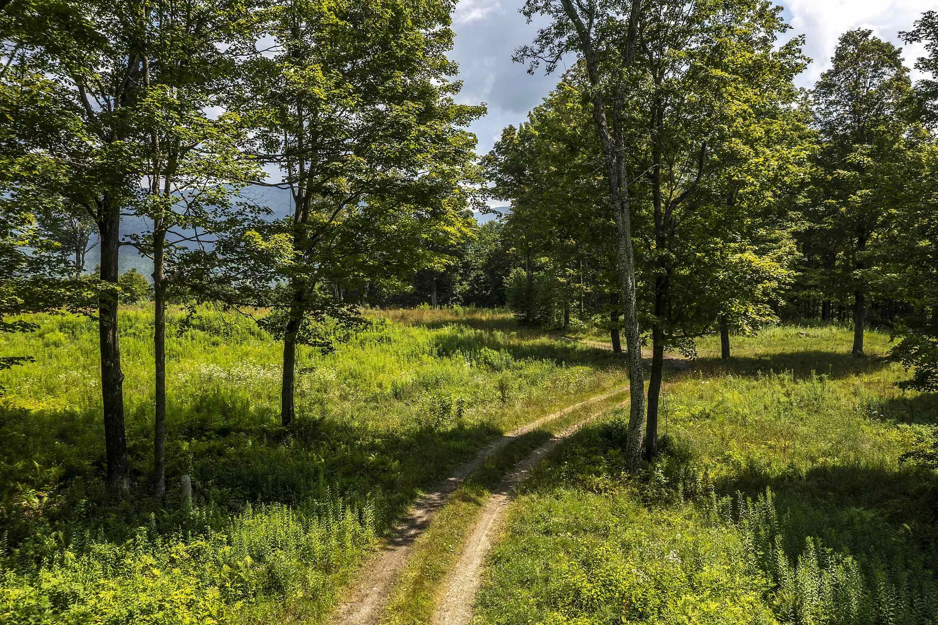 500 Nims Road Dorset VT 05251