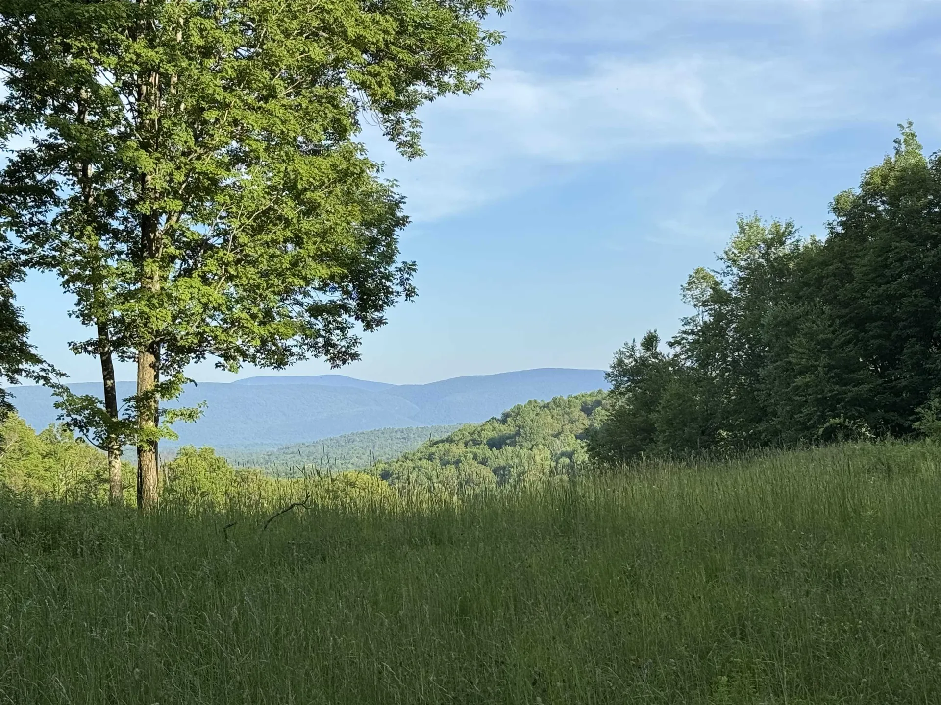 500 Nims Road Dorset VT 05251