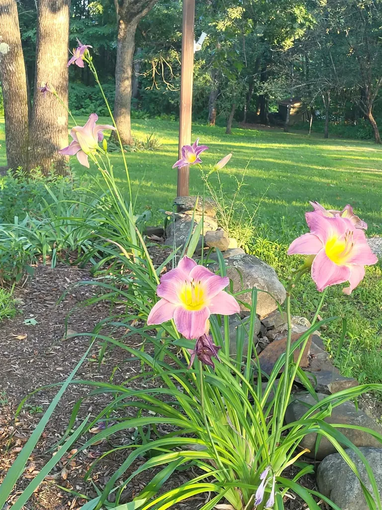 50 Weir Road Concord NH 03301