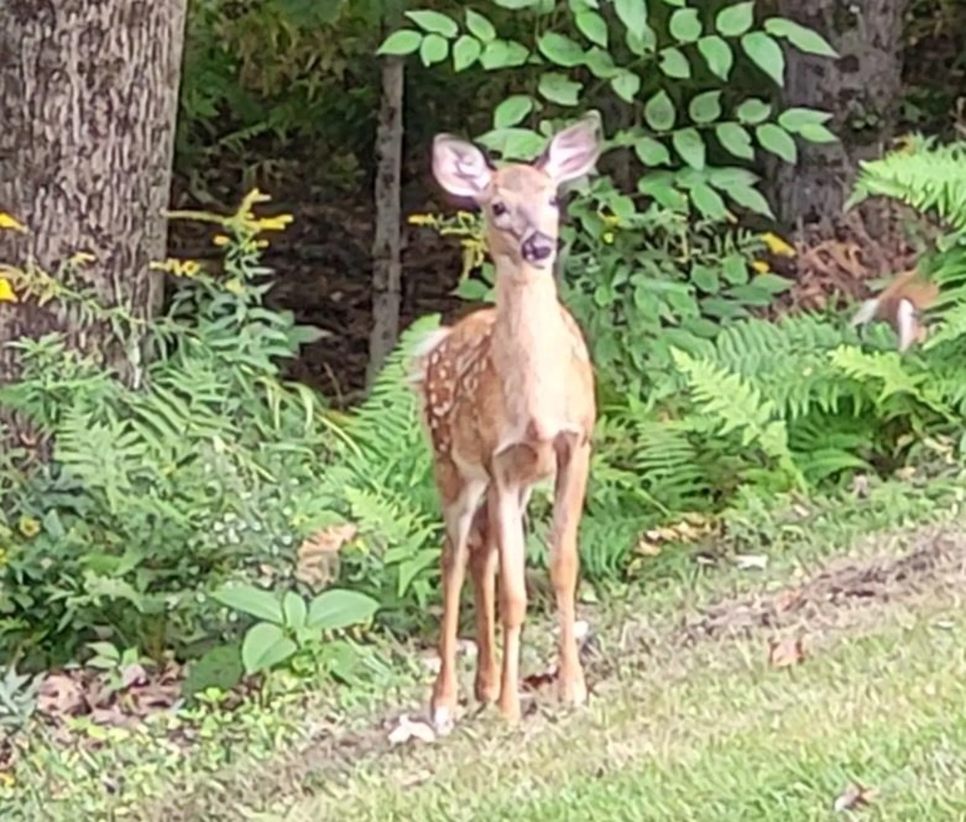 50 Weir Road Concord NH 03301