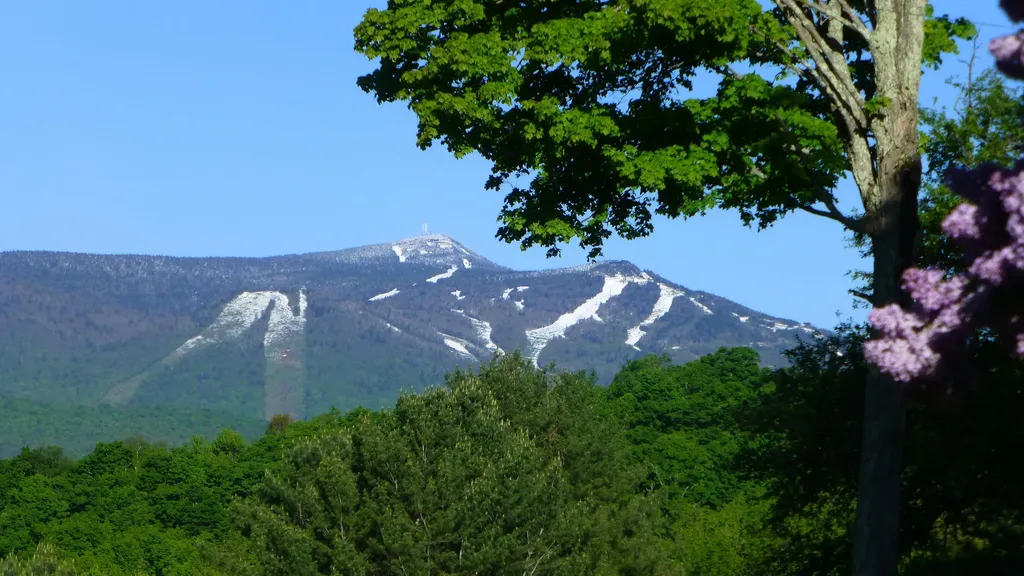 1279 Old Bridgewater Hill Road Bridgewater VT 05035