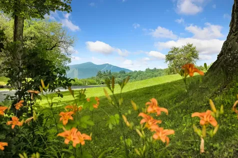 1279 Old Bridgewater Hill Road Bridgewater VT 05035