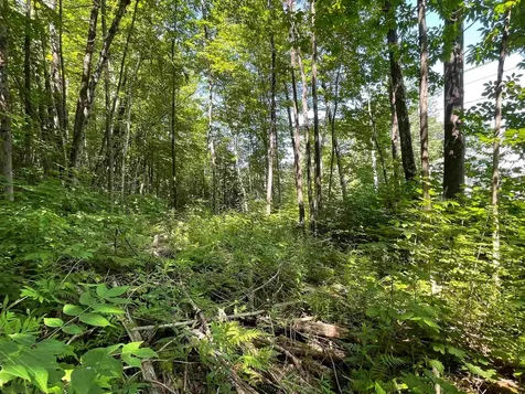 Map 84 - Lot 45 South Street Littleton NH 03561