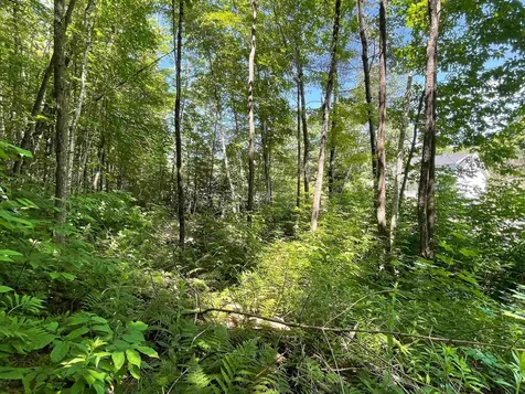Map 84 - Lot 45 South Street Littleton NH 03561