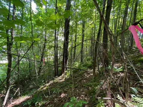 Map 84 - Lot 45 South Street Littleton NH 03561