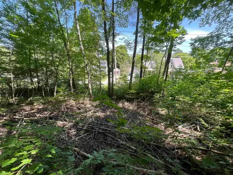 Map 84 - Lot 45 South Street Littleton NH 03561