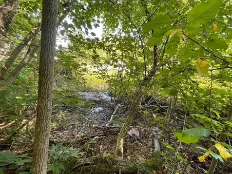 Map 84 - Lot 45 South Street Littleton NH 03561