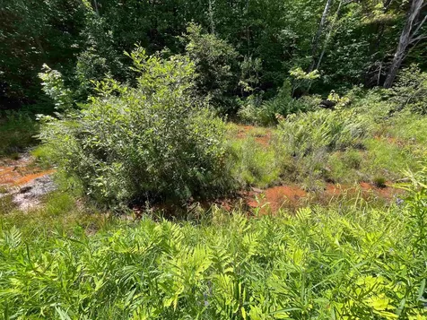 Map 84 - Lot 45 South Street Littleton NH 03561