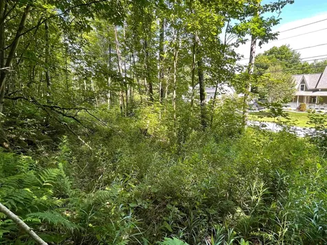 Map 84 - Lot 45 South Street Littleton NH 03561